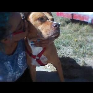 Meet your Posher, Kala